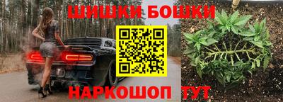 молекула духа Бердск